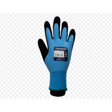 Thermdry Gloves